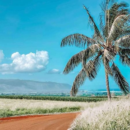 מלון Cute Off Grid Glampsite With Wifi- 5 Min From Haleiwa Town מראה חיצוני תמונה