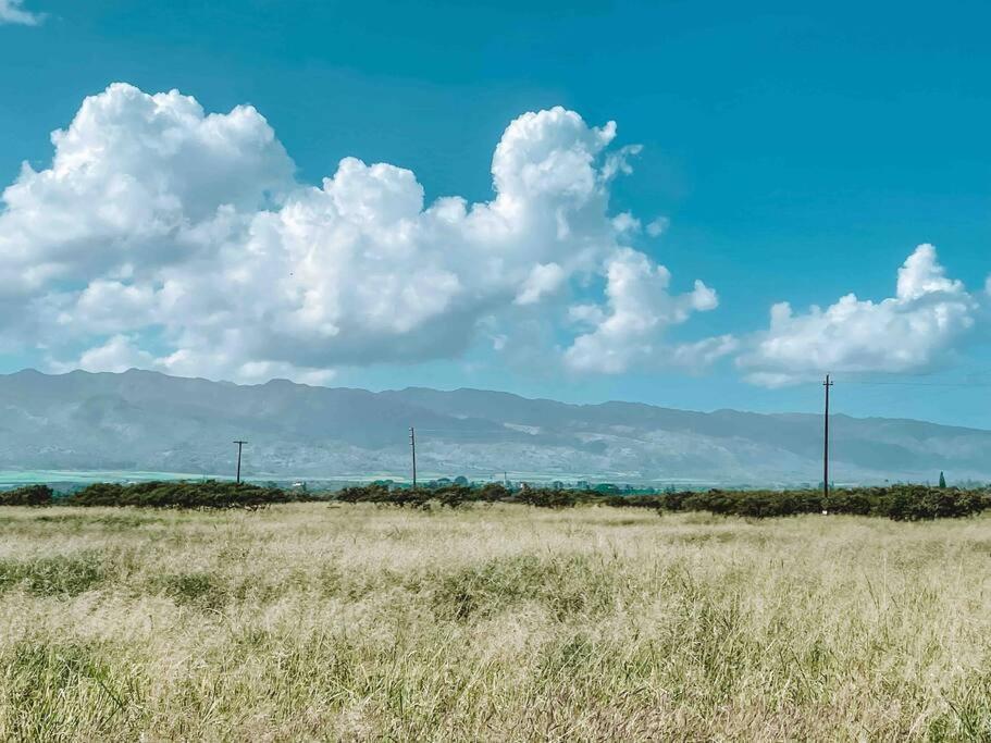מלון Cute Off Grid Glampsite With Wifi- 5 Min From Haleiwa Town מראה חיצוני תמונה